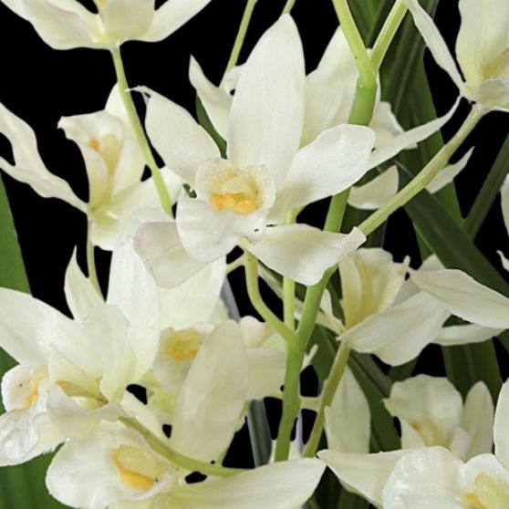 Uttermost® Ariana Orchid White Planter-4