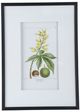 A & B Home 2-Piece Black/White Botanical Wall Art Set-2