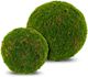 Le Present Moss Green 16" Faux Botanical Ball-1
