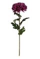 A & B Home Plum Chrysanthemum-0