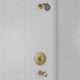 ZLINE Palisades Champagne Bronze Elegant Shower System-2