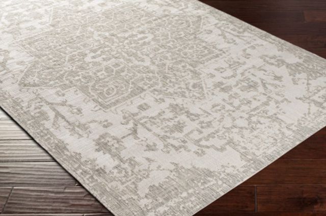 Surya Eagean Light Beige/Oatmeal 4'x6' Area Rug-1