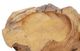 A & B Home Aisling Brown Decorative Bowls-2