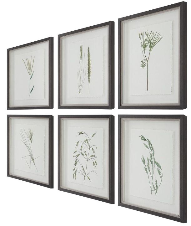 Uttermost® Forest Finds 6-Piece Framed Print Set-3