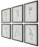 Uttermost® Forest Finds 6-Piece Framed Print Set-3