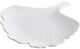A & B Home White Ginkgo Leaf Decorative Plate-2