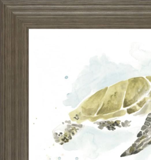 Classy Art Watercolor Sea Turtle Study I by June Erica Vess Wall Art-1