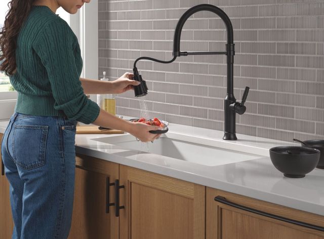 Delta Renaldi® Matte Black Single Handle Spring Kitchen Faucet-3