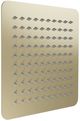ZLINE Autograph Edition Bliss Champagne Bronze 8" Rainfall Shower Head-0