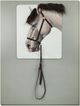 Classy Living Mindful Equine Elegance Wall Art-0