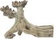 A & B Home Weathered Natural Branch Table Decor-0
