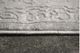Renwil® Camila Gray 3'x5' Area Rug-3