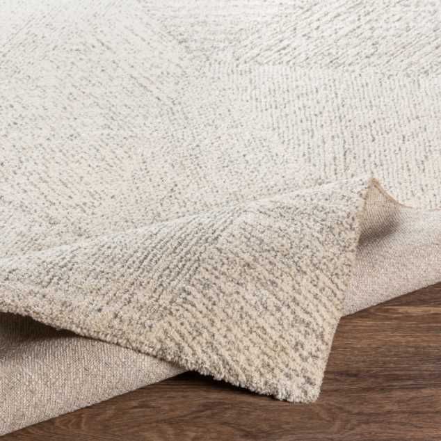 Surya Gavic Beige/Gray 4'x6' Area Rug-3