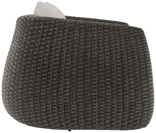 Bernhardt Sarene Bernhardt Exteriors Dark Thatch/White Fabric/Woven Outdoor Swivel Chair-2