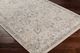 Surya Impulse Beige 4'x6' Area Rug-2