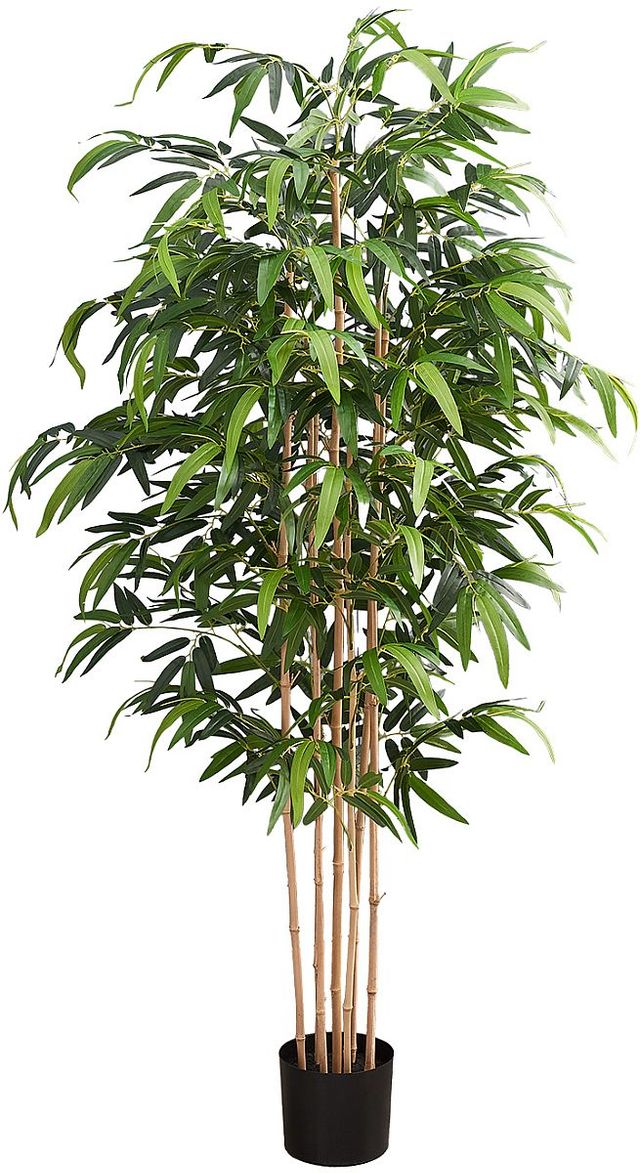 Monarch Specialties Inc. Black/Green 83" Bamboo Tree with 8" Pot-0