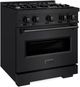ZLINE Classic 30" Black Stainless Steel Pro Style Dual Fuel Range-1