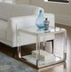 Modus Furniture Jasper Glass Top End Table with Stainless Steel Base-1