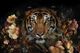 Classy Living Untamed Floral Tiger Wall Art-0