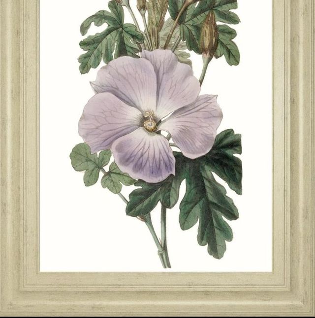 Classy Art Lavender Beauties I by Edwards Wall Art-1