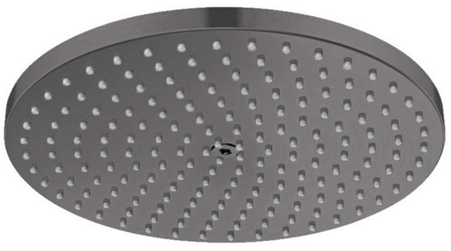 Hansgrohe Raindance S Brushed Black Chrome 10" Showerhead-0