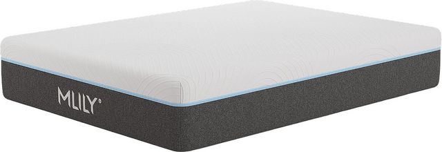 MLILY® Fusion Luxe 12.5" Hybrid Medium Plush Tight Top California King Mattress in a Box