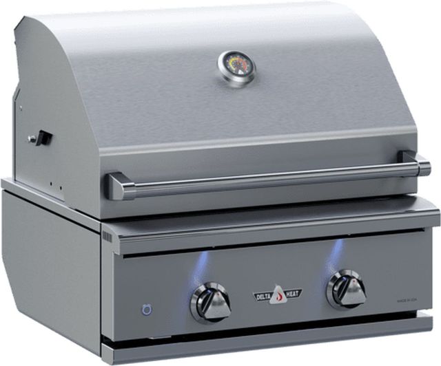 Delta Heat 2-Burner Stainless Steel Built-In Natural Gas Grill-1