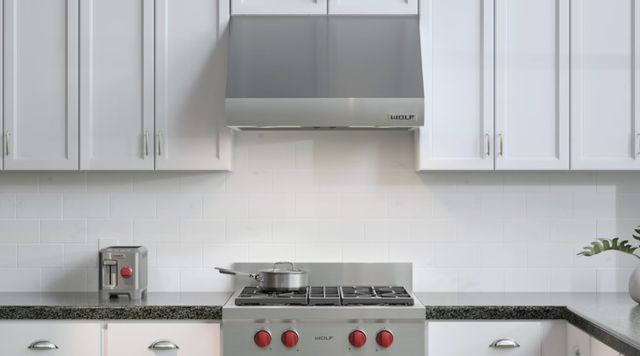 Wolf® 30" Stainless Steel Pro Wall Ventilation-1