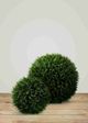 Le Present Cedar Green Faux Botanical Ball-4