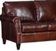 Mayo Customizable 2-Piece Leather L-Shape Sectional-1