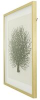 YHD Sea Fan Shadow I Wall Art-3