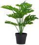 A & B Home Green 10" Leaves with Pot-0