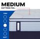 Sealy® Posturepedic® Medina II Wrapped Coil 14" Medium Euro Pillow Top Twin Mattress-4