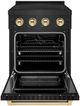 ZLINE Autograph Edition Paramount 24" Black Stainless Steel Pro Style Induction Range with Polished Gold Accents-1