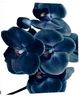 Classy Living Blue Orchid Wall Art-3