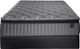 Spring Air® Back Supporter Josie 12.5" Hybrid Plush Pillow Top Twin XL Mattress-2