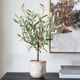Uttermost® Solea Olive Green/Natural Tan Accent and Textured Vase-1