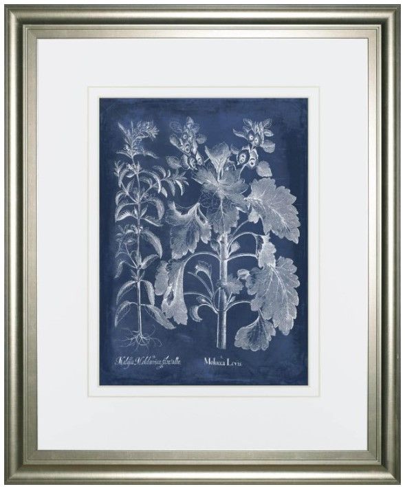 Classy Living Vision Studio Besler Leaves in Indigo I 40" Wall Art-0