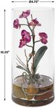 Uttermost® Mariposa Green/Fuchsia Orchid-3