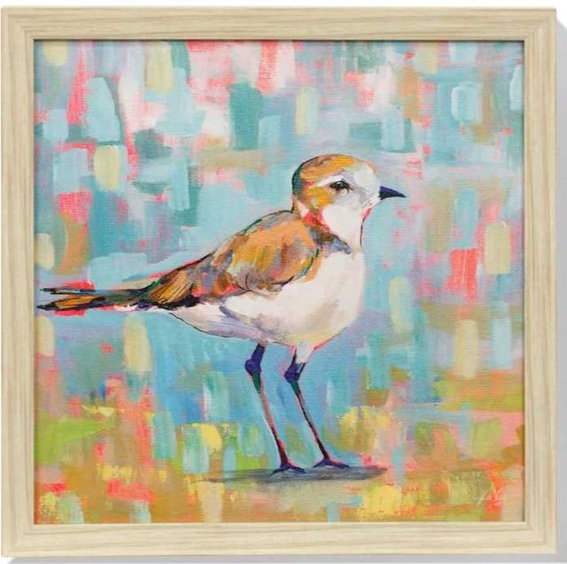 Stylecraft Coastal Plover III Multi-Colored Wall Art-0