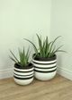 Le Present Stripe White And Black 16" Planter-5