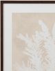 Bassett Mirror Ptilota Plumosa Framed Print Wall Art-1