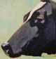Stylecraft Amoreena Black/Light Green Wall Art-1