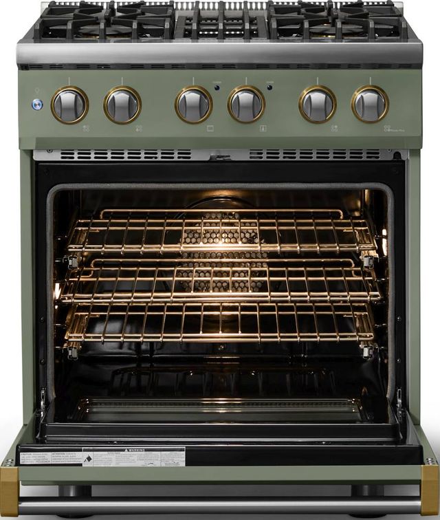 Viking® 5 Series 30" Eucalyptus Pro Style Dual Fuel (LP) Range with Brushed Brass Trim-1