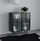 Coaster® Dalia Black 2-Door Accent Cabinet-3