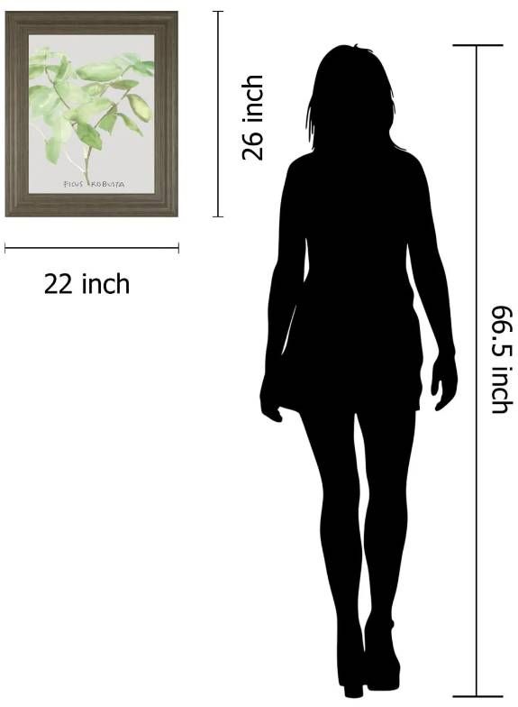 Classy Art Ficus Robusta by Katrien Soeffers Wall Art-2