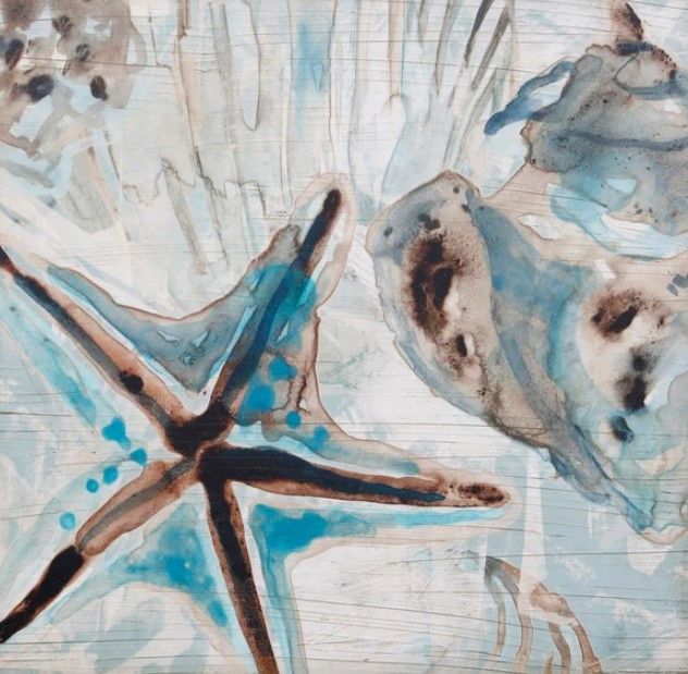Stylecraft Driftwood Shell Collage II Beige/Blue/Brown Wall Art-1