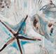 Stylecraft Driftwood Shell Collage II Beige/Blue/Brown Wall Art-1