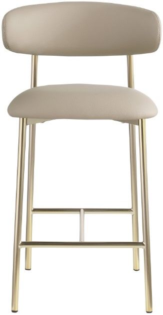 Meridian Furniture Lupita Taupe/Brushed Gold Counter Stool-1