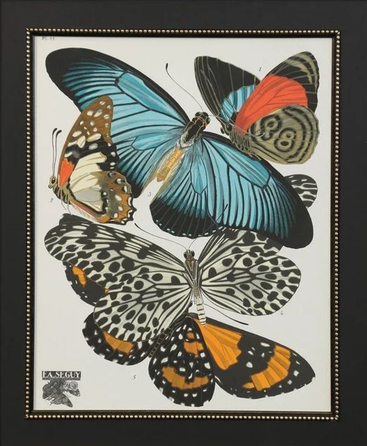 Stylecraft Butterfly I Wall Art-1
